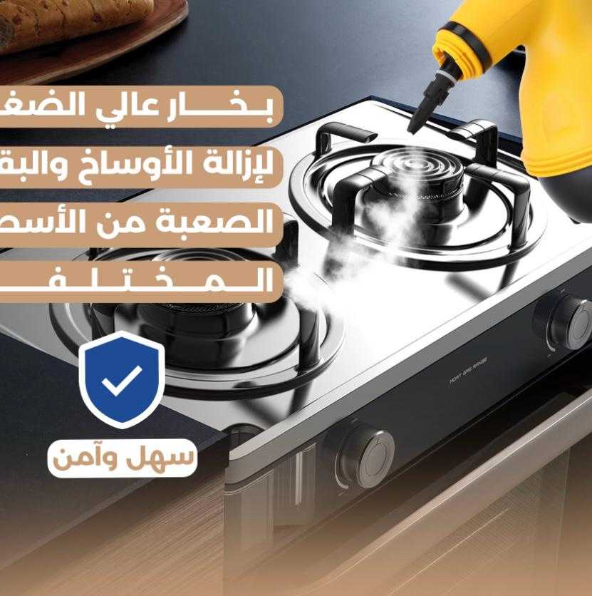 Steam Cleaner
